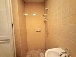 The Cairnhill (D9), Condominium #555566461